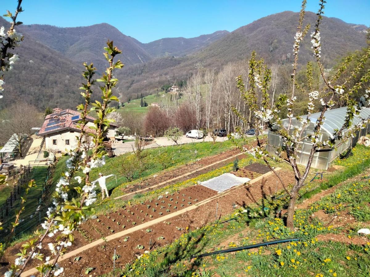 Agriturismo Ca' Fenile Villa Alzano Lombardo Exterior foto