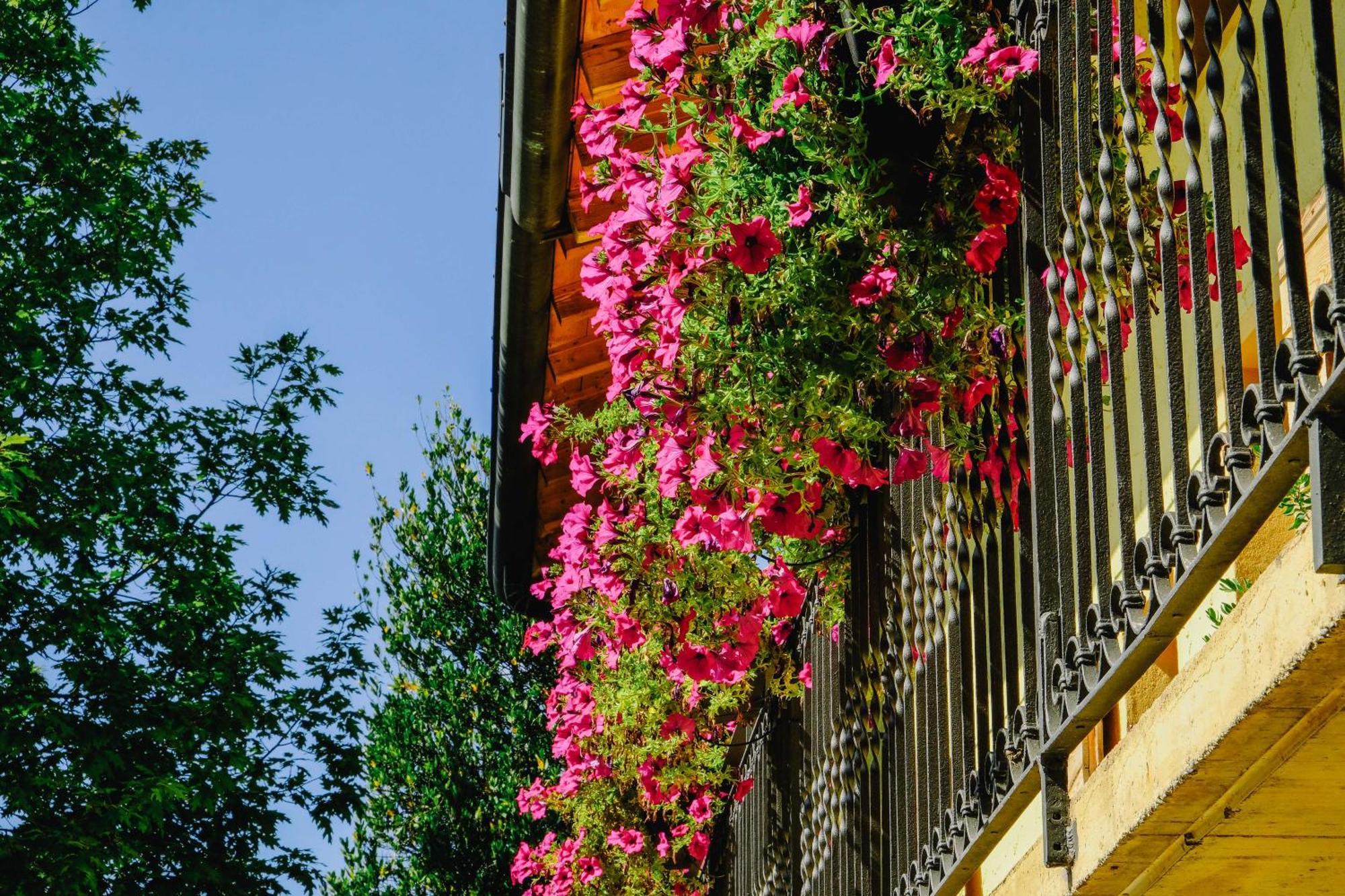 Agriturismo Ca' Fenile Villa Alzano Lombardo Exterior foto